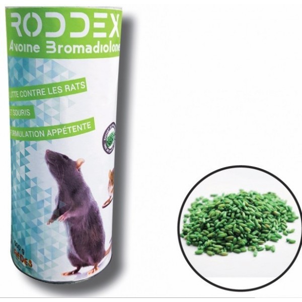 RODDEX AVOINE