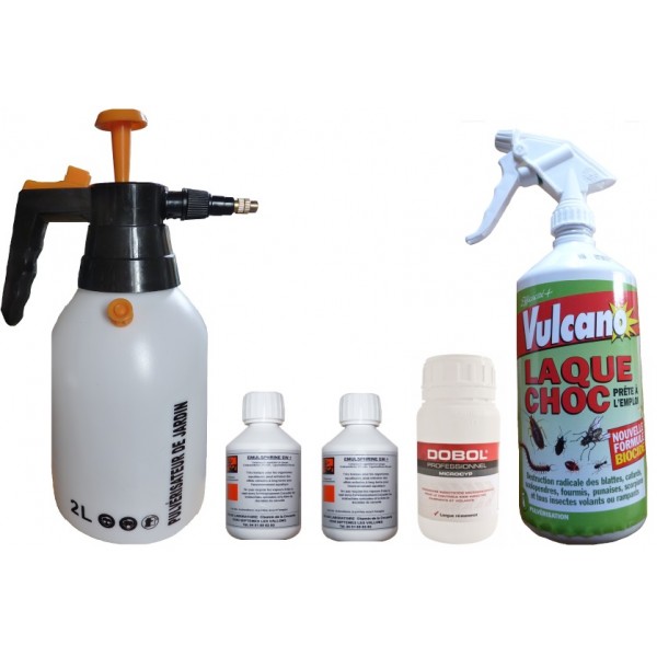 VULCANO PRODUIT INSECTICIDE PUNAISES DE LIT SPÉCIAL PRO PULVERISATION LOT  DE 3 BOMBES, Aérosol : : Jardin